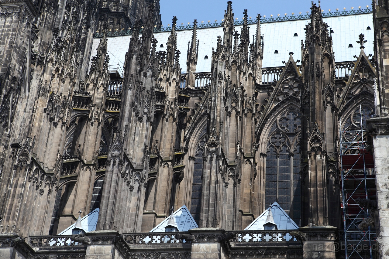 EOS 5D Mark II08_06_20148373.JPG